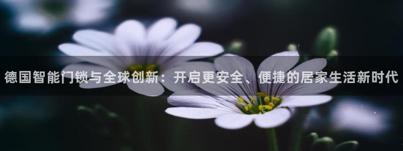 开丰娱乐新登录平台：德国智能门锁与全球创新：开启更安全、便捷