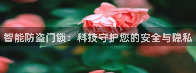 开丰娱乐趣 7O935：智能防盗门锁：科技守护您的安全与隐私