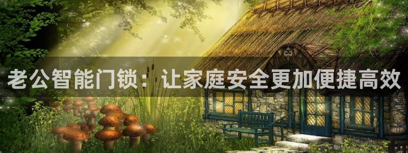 开丰娱乐登录平台下载：老公智能门锁：让家庭安全更加便捷高效