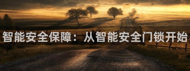 开丰娱乐官网平台网址：智能安全保障：从智能安全门锁开始