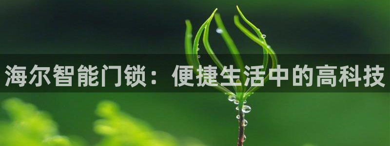 开丰娱乐优七九九47：海尔智能门锁：便捷生活中的高科技