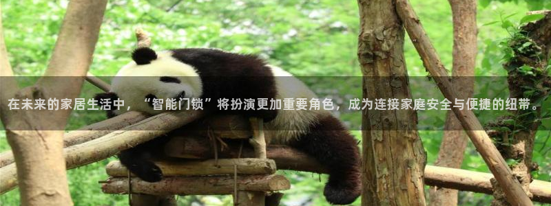 开丰娱乐乙833_43：在未来的家居生活中，“智能门锁”将扮