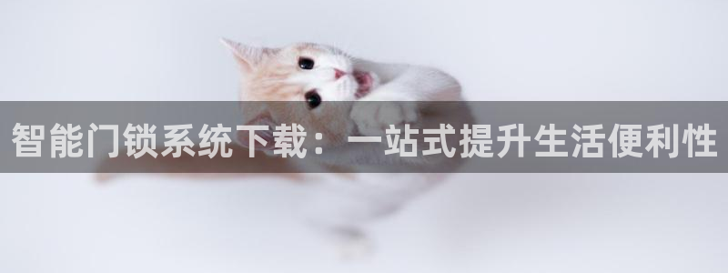 开丰娱乐测速：智能门锁系统下载：一站式提升生活便利性