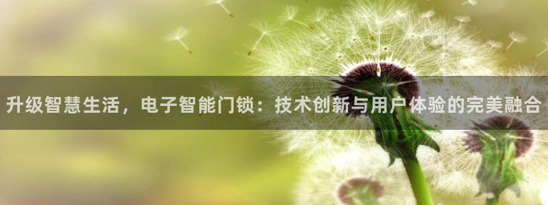 开丰娱乐官网登录网址：升级智慧生活，电子智能门锁：技术创新与