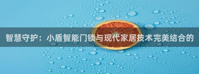 开丰娱乐官方app：智慧守护：小盾智能门锁与现代家居技术完美