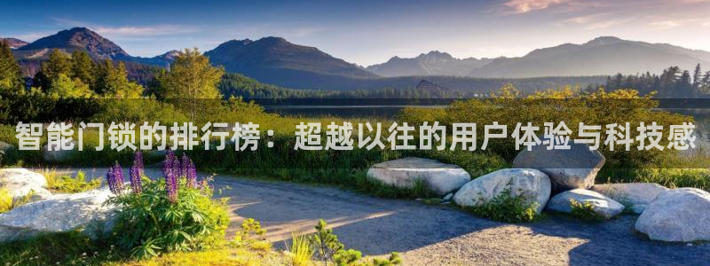 开丰娱乐 赢咖一：智能门锁的排行榜：超越以往的用户体验与科技