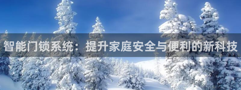 开丰娱乐下7O667：智能门锁系统：提升家庭安全与便利的新科